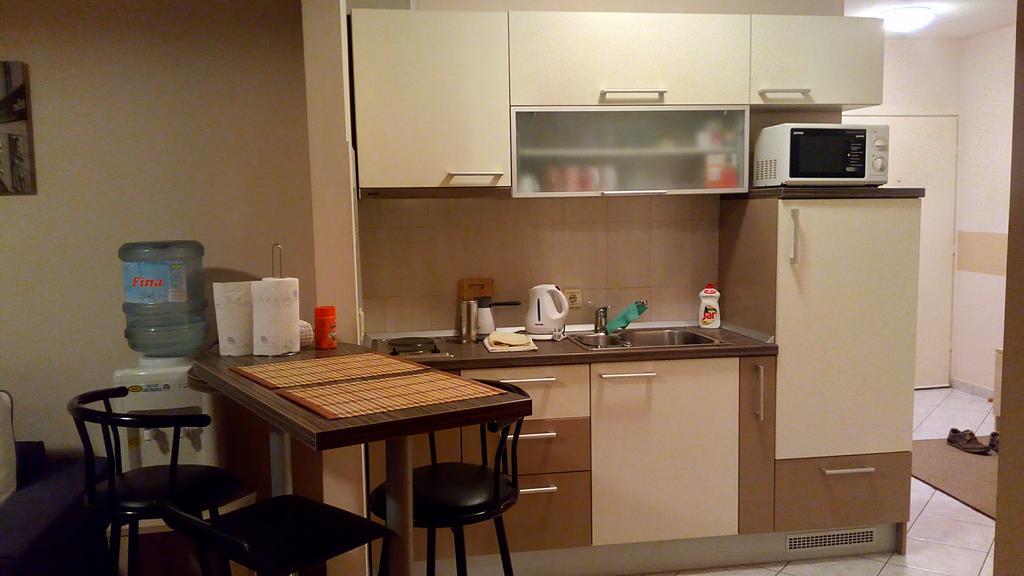 Apartment Viktor,Parking 오시예크 외부 사진
